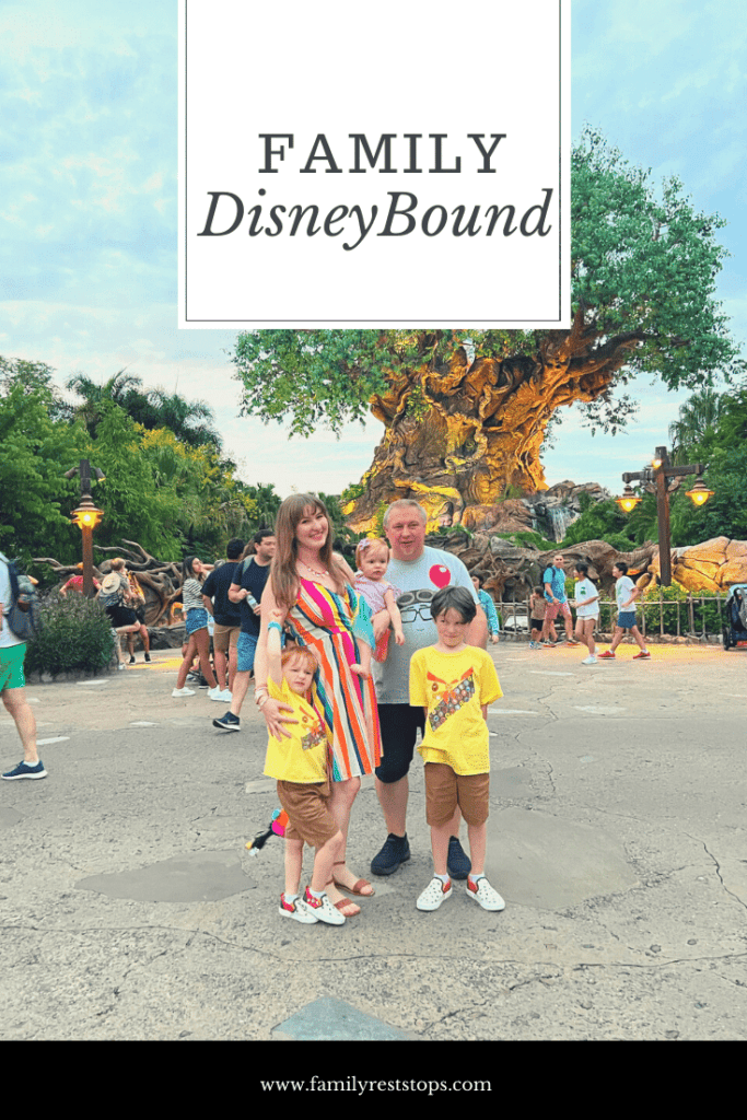 disneybounding for families